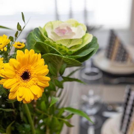 Vasko Luxurious Suites, Kaakkuri Rovaniemi Ngoại thất bức ảnh